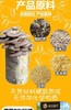 考拉精灵蘑菇种植DIY秀珍菇家庭幼儿园亲子游戏可食用菌菇 2盒装 包邮大部分地区 商品缩略图2