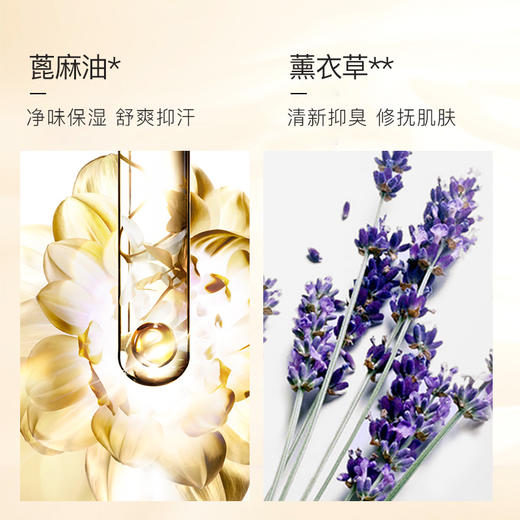 【3瓶一疗程】伊芳妮狐臭水 商品图2