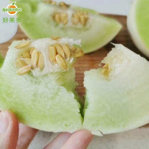 南汇玉菇4只1213斤箱