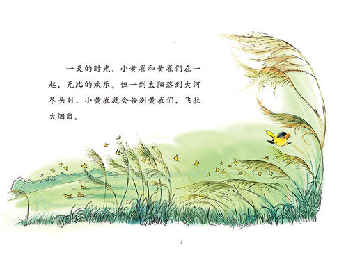 曹文轩作品·侠鸟传奇·黑猫 适度年龄3-7岁 商品图2