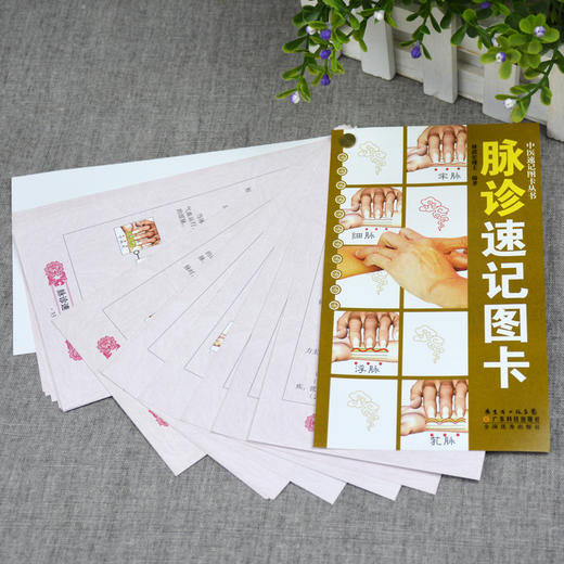 脉诊速记图卡 商品图2