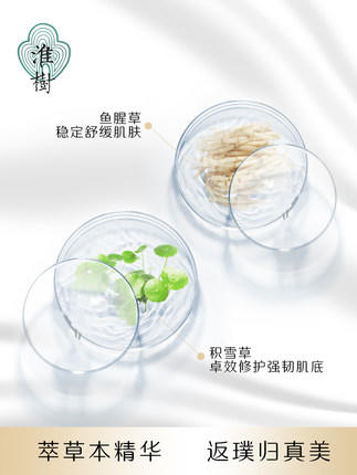 淮树鱼腥草润颜精华乳  60ml 商品图1
