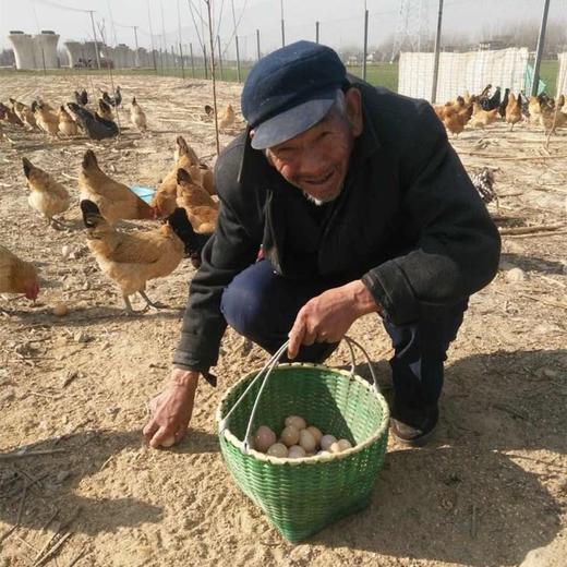 皖北【土鸡蛋】30枚装   农家散养土鸡蛋   柴鸡蛋 商品图0