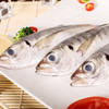 物本源二去巴浪鱼    （去肚、鳃）900g 商品缩略图2