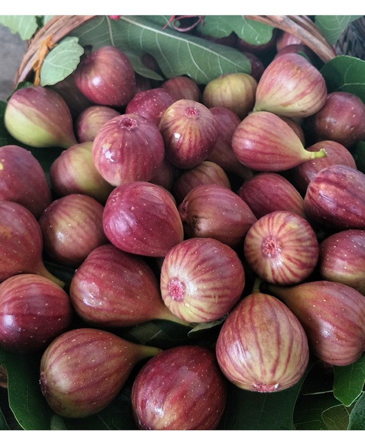 mn正常发货云南新鲜红皮波姬红无花果净重3斤箱约25个单果约60克