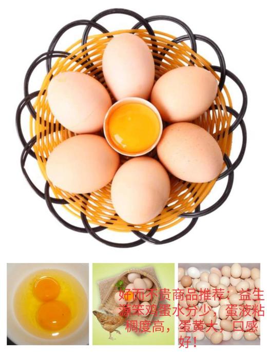 益生源鸡蛋 商品图0