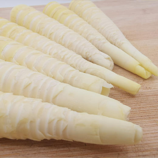 四川宜宾甜苦笋新鲜苦笋深山现挖现发鲜脆爽口