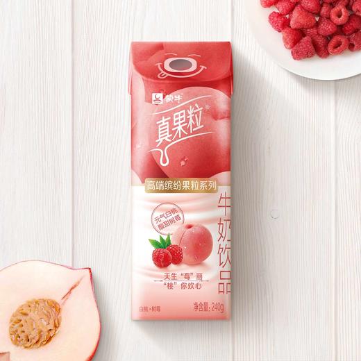 蒙牛高端真果粒白桃树莓味240g*10盒 商品图2