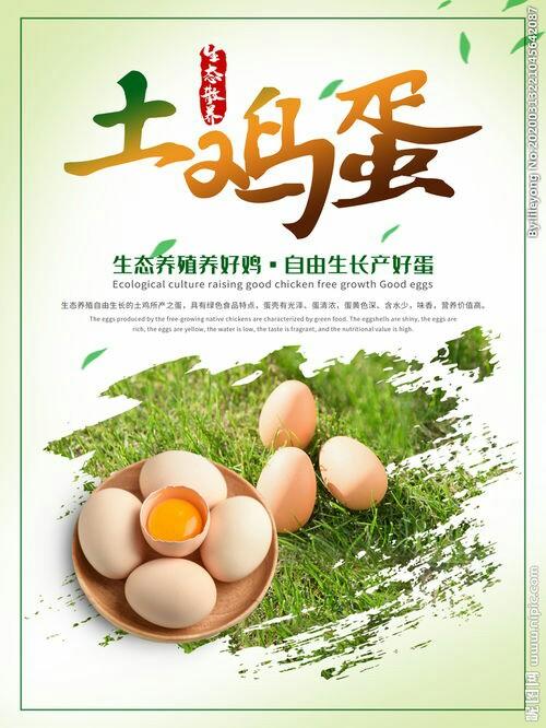 土鸡蛋 30个*12托/件 商品图3