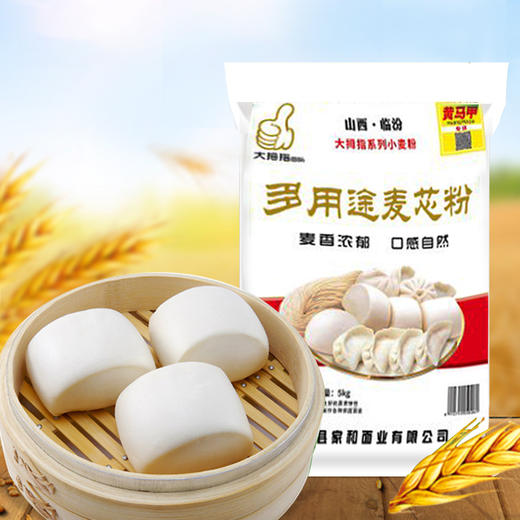大拇指麦芯粉5kg 商品图0