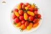 家绿彩虹小番茄4斤装 提前1天预定 商品缩略图5