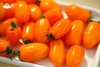家绿彩虹小番茄4斤装 提前1天预定 商品缩略图9