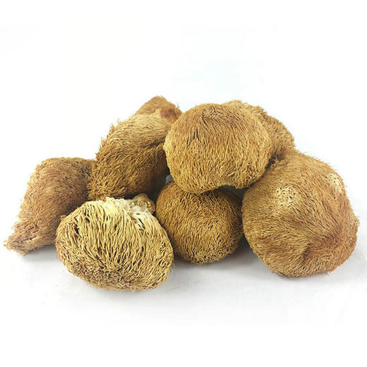 包邮有机猴头蘑100g菌菇干货蘑菇 商品图2