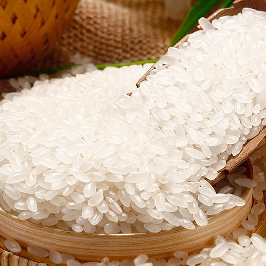 北大荒牧业沃农场珍品长粒香东北大米5kg黑龙江大米 商品图3