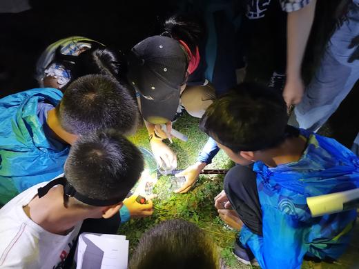 2025 寻找夜精灵」--朴愿呱哩农场夜观活动预定 商品图3