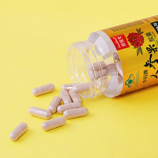 高浓缩皂苷精华的人参果胶囊   0.25g*30粒 商品图2