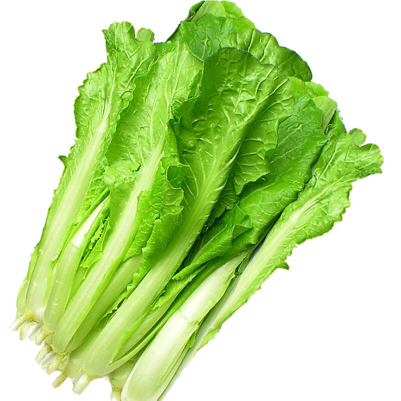 爱农 北京有机蔬菜 小白菜450g