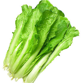爱农 北京有机蔬菜 小白菜450g