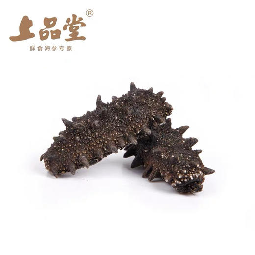 B1F 上品堂特级干海参 500g/盒 （81-120头） 商品图2