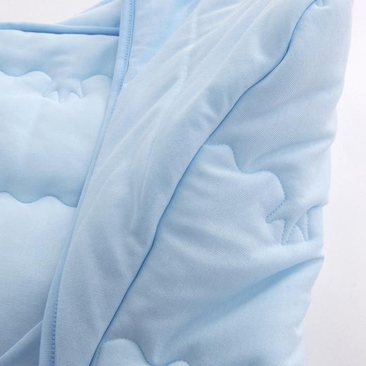 英氏婴儿纯棉抱被新生儿夹棉抱毯小被子10096602 10096628 商品图4