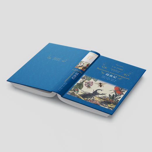 《昆虫记》 商品图4