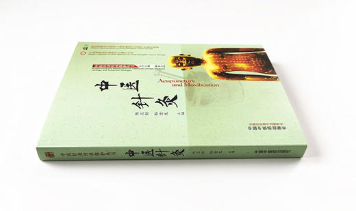 中医针灸【张立剑 杨金生】 商品图3