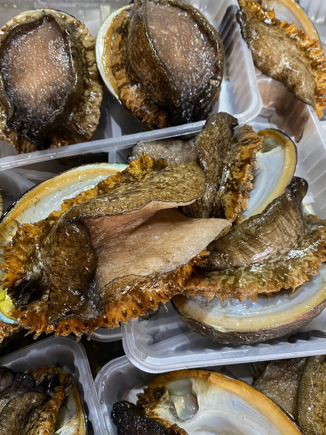 黄金大鲍鱼名贵海珍品海洋软黄金鲜活帮杀好去除内脏一份2个