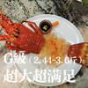 [48小时内发货]G级（2.44-3.6斤） 澳洲红岩大龙虾  鲜活发货 商品缩略图2