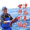 [48小时内发货]D级（1.48-1.7斤）澳洲红岩大龙虾  鲜活发货 商品缩略图0