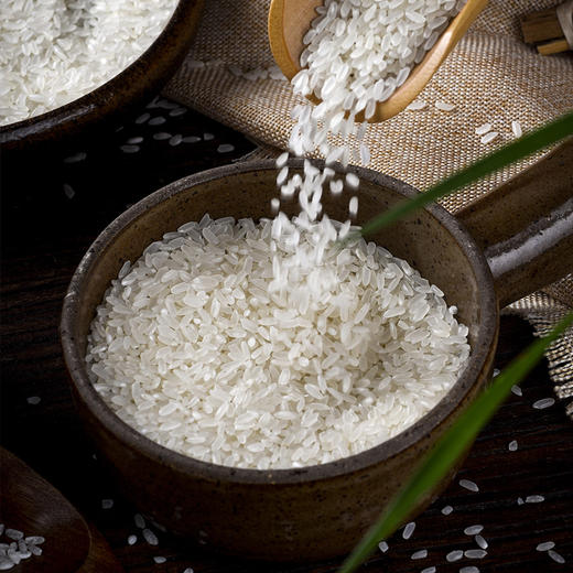 北大荒牧业沃农场东北大米金色鸭稻米黑龙江大米5KG包邮 商品图3