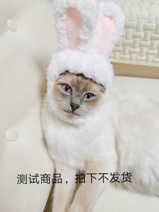 hwy-分销商品2 商品图0