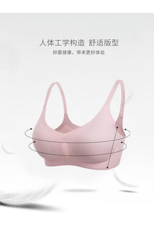 （169元/2件）细带无痕背扣文胸53046 商品图2