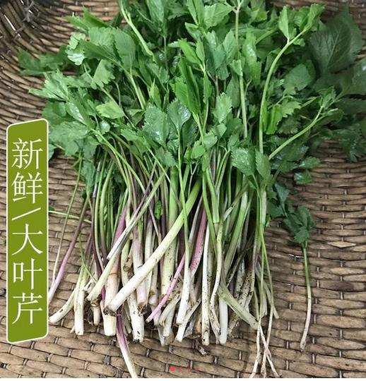 吉林長白山野菜大葉芹刺嫩芽丨4斤裝/8斤裝