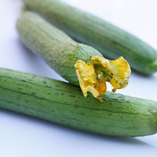 爱农 北京昌平蔬菜基地 丝瓜500g 商品图3
