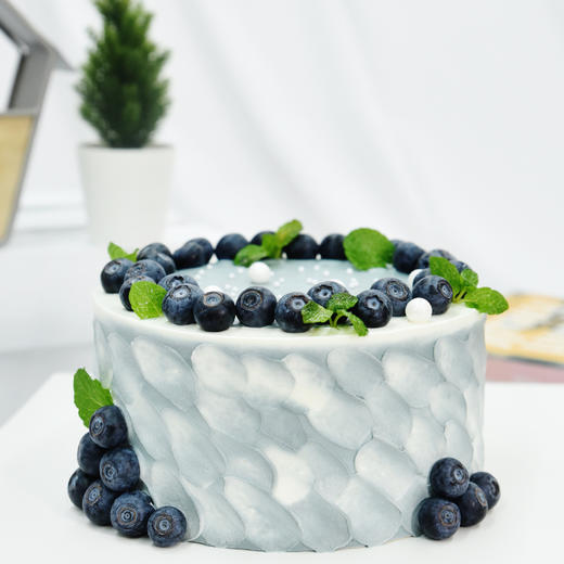 蓝莓啵啵 商品图0