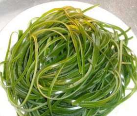 生海带丝