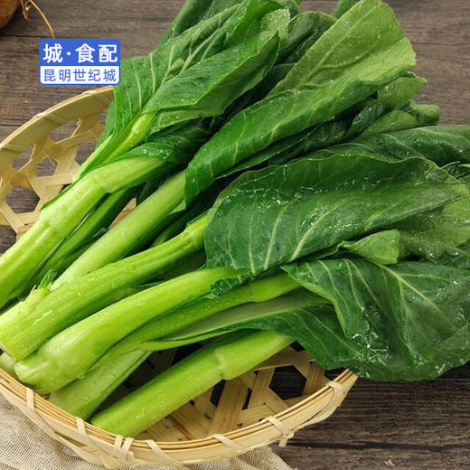 km广东菜心500520g