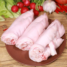 物本源无抗佛手蹄