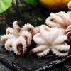 物本源深海章鱼花250g 商品缩略图1