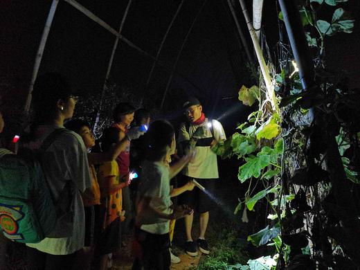 2025 寻找夜精灵」--朴愿呱哩农场夜观活动预定 商品图4