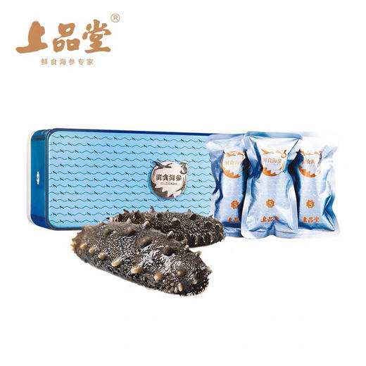 B1F 上品堂鲜食海参（5）800g（30只）/盒 商品图1