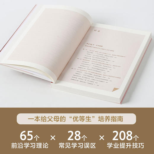 学习的格局：孩子自主学习的秘密 黄静洁 著 自主学习 主动学习 终身竞争力 学习自控力 家庭教育 中信童书 商品图4