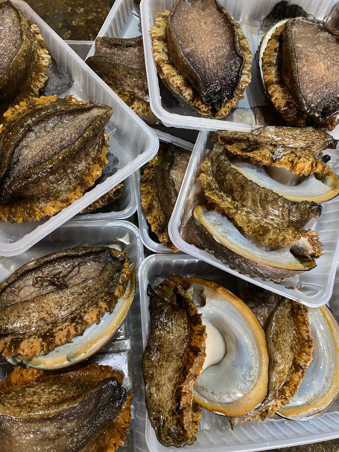 黄金大鲍鱼名贵海珍品海洋软黄金鲜活帮杀好去除内脏一份2个