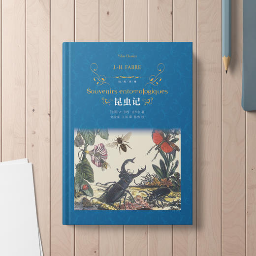 《昆虫记》 商品图1