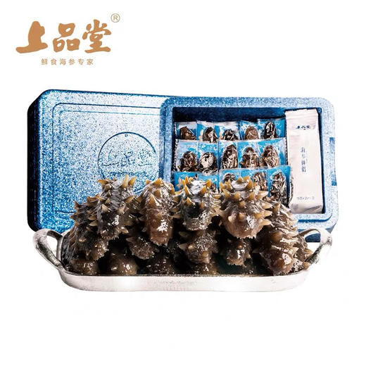 B1F 上品堂即食海参（7）1800g（30只）/箱 商品图1