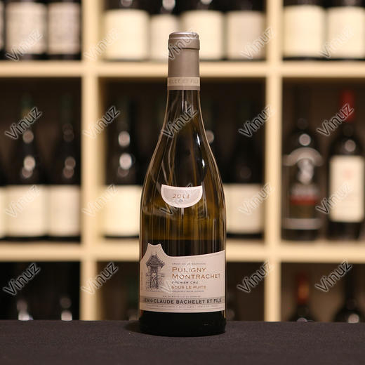 domaine jean-claude bachelet et fils sous le puits, puligny