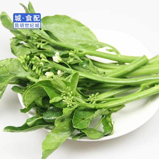 km野芥兰约480500g