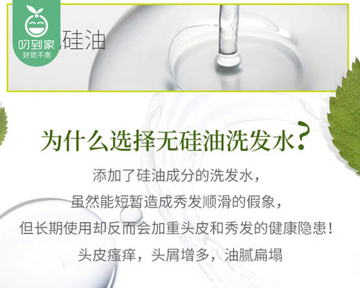 日本资生堂惠润洗发露-绿野芳香（600ml/瓶）生产日期: 25年2月 商品图3