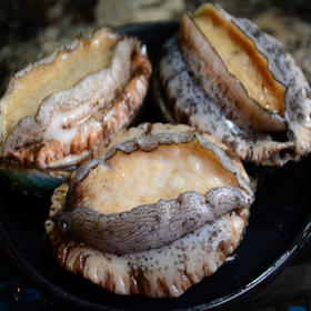 物本源冻煮鲍鱼