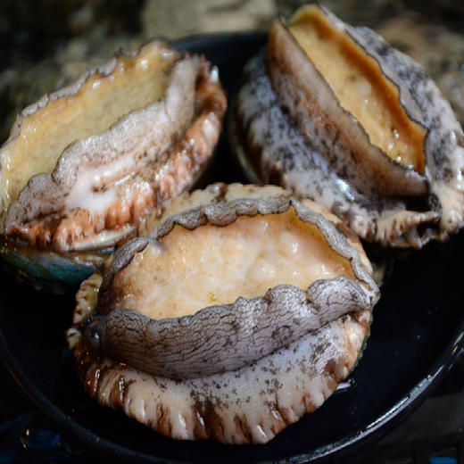 物本源冻煮鲍鱼 商品图0